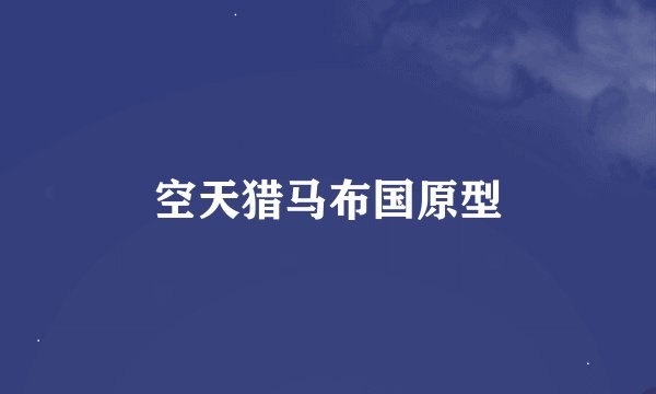 空天猎马布国原型