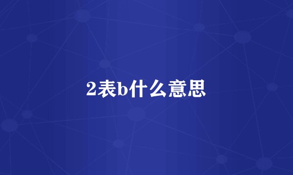 2表b什么意思