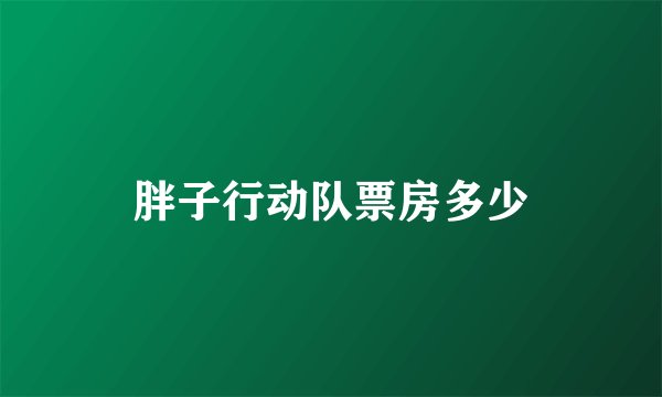 胖子行动队票房多少
