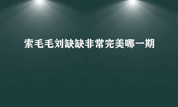 索毛毛刘缺缺非常完美哪一期