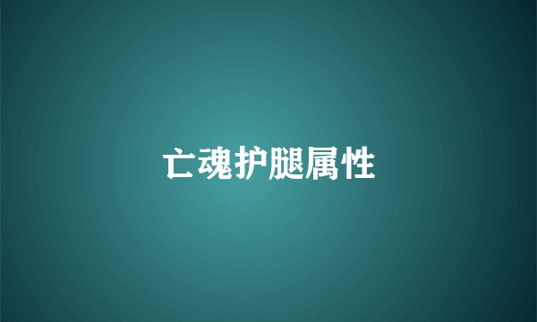 亡魂护腿属性