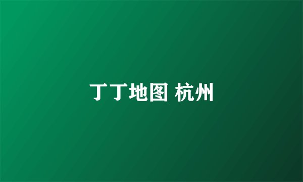丁丁地图 杭州