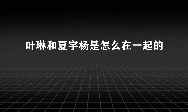 叶琳和夏宇杨是怎么在一起的