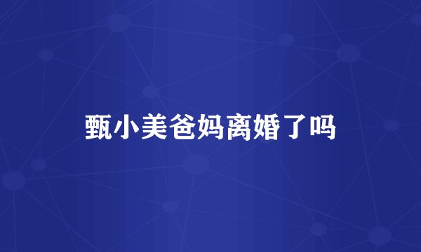 甄小美爸妈离婚了吗