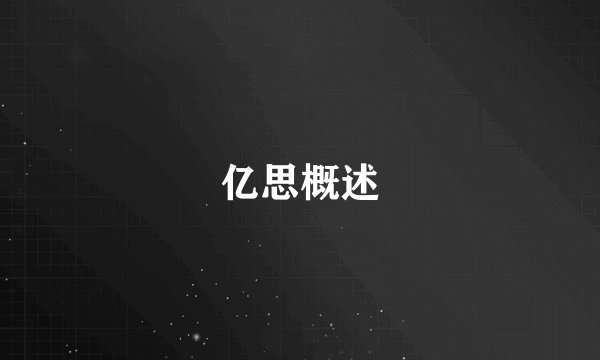 亿思概述