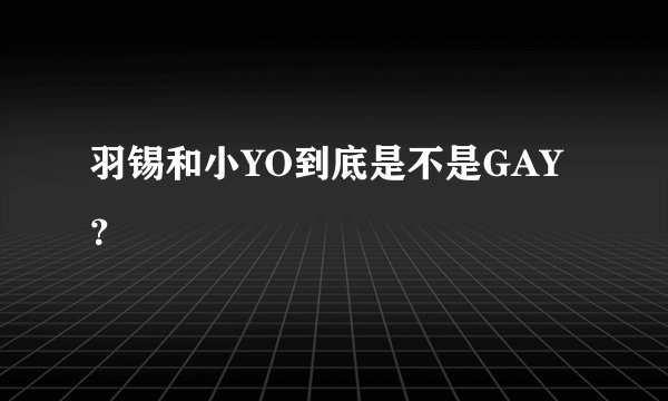 羽锡和小YO到底是不是GAY？