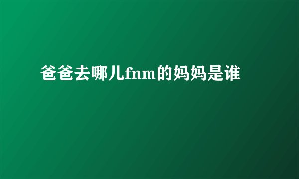爸爸去哪儿fnm的妈妈是谁