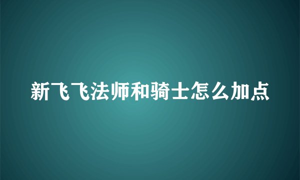 新飞飞法师和骑士怎么加点