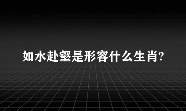 如水赴壑是形容什么生肖?