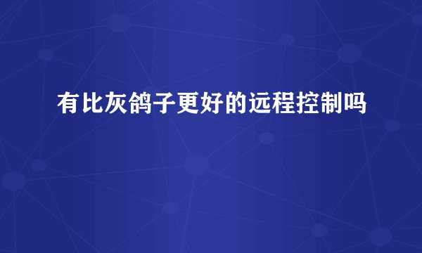 有比灰鸽子更好的远程控制吗