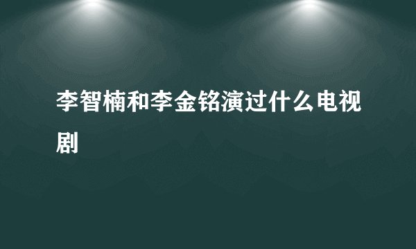 李智楠和李金铭演过什么电视剧