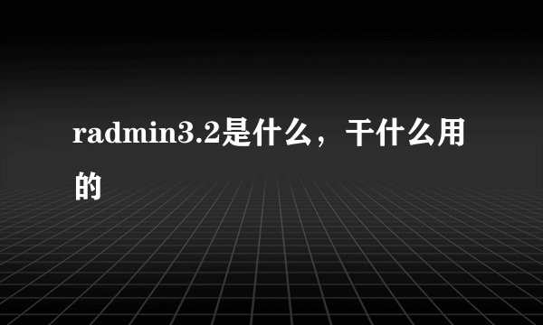 radmin3.2是什么，干什么用的