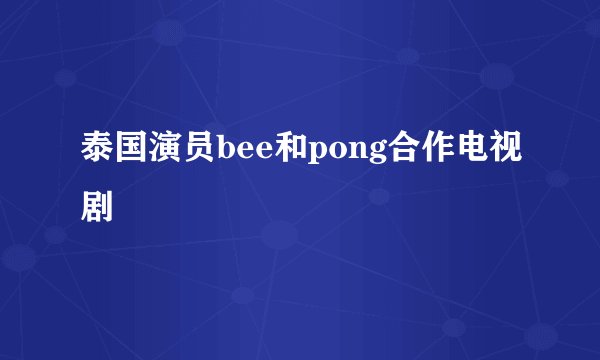 泰国演员bee和pong合作电视剧