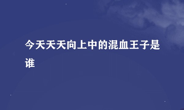 今天天天向上中的混血王子是谁