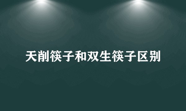 天削筷子和双生筷子区别
