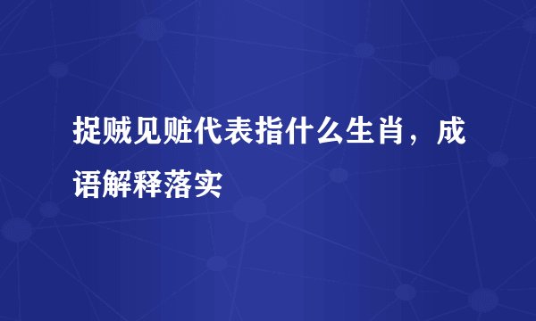 捉贼见赃代表指什么生肖，成语解释落实