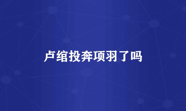 卢绾投奔项羽了吗