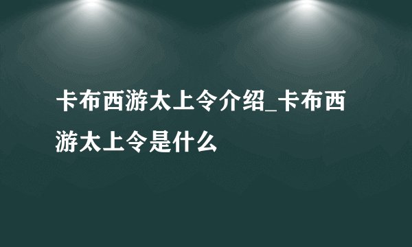 卡布西游太上令介绍_卡布西游太上令是什么