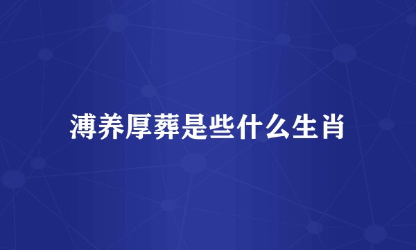 溥养厚葬是些什么生肖