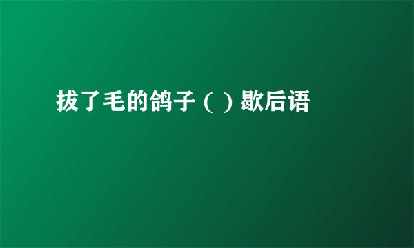 拔了毛的鸽子 ( ) 歇后语