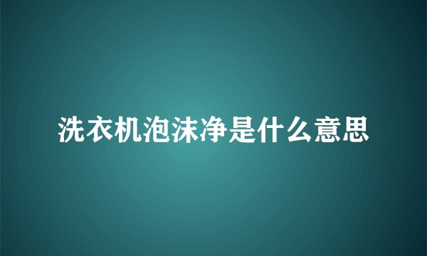 洗衣机泡沫净是什么意思