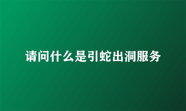 请问什么是引蛇出洞服务