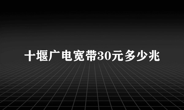 十堰广电宽带30元多少兆