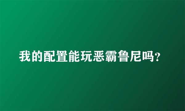我的配置能玩恶霸鲁尼吗?