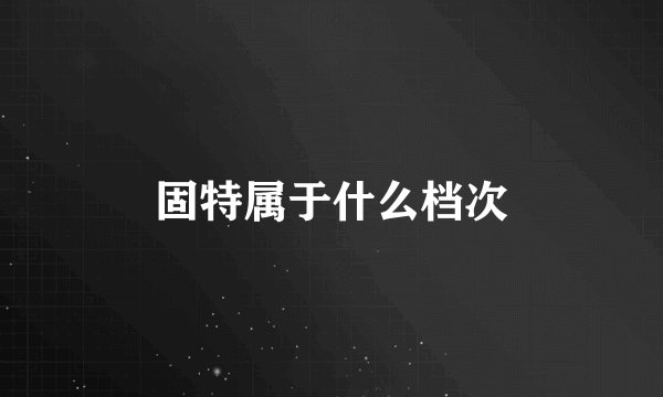 固特属于什么档次