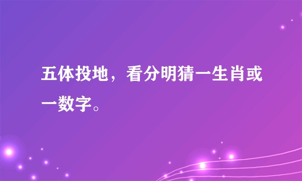 五体投地，看分明猜一生肖或一数字。