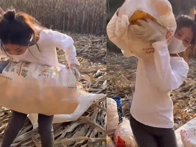 山西一女孩帮爷爷奶奶收玉米整袋扛上肩，她的身上有哪些闪光点？