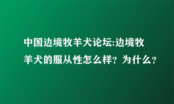 中国边境牧羊犬论坛:边境牧羊犬的服从性怎么样？为什么？