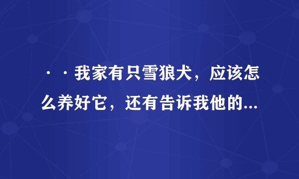 ··我家有只雪狼犬，应该怎么养好它，还有告诉我他的价格，和名贵程度！？