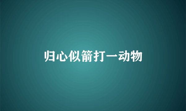 归心似箭打一动物