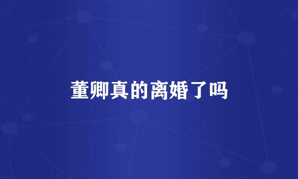 董卿真的离婚了吗