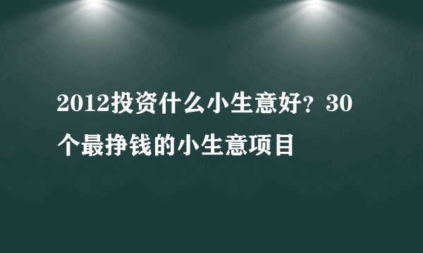 2012投资什么小生意好？30个最挣钱的小生意项目
