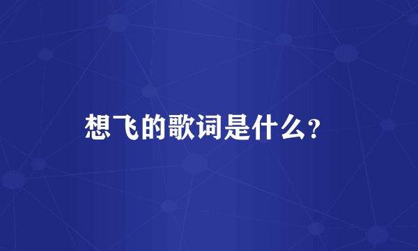 想飞的歌词是什么？