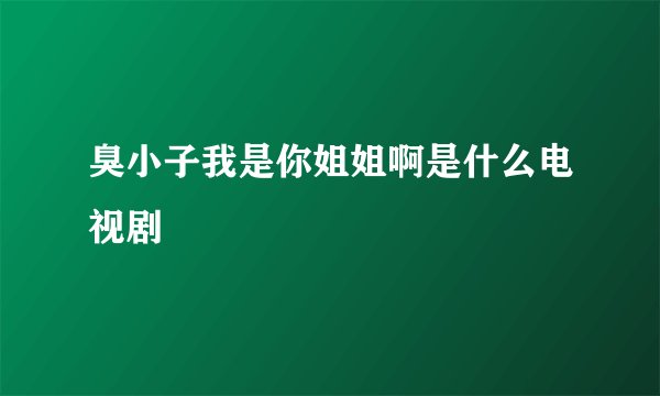 臭小子我是你姐姐啊是什么电视剧