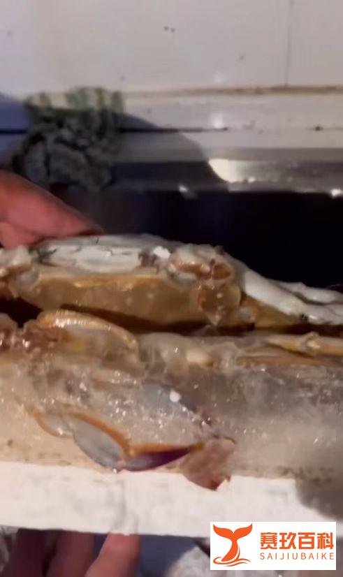 男子400元买4箱海鲜解冻后全是空壳,可怜之人必有可恨之处!