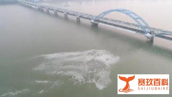 钱塘江漩涡原因真相，水怪现身？