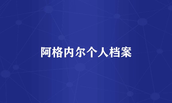 阿格内尔个人档案