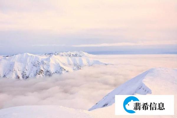 BL推文|《皮肤饥渴症》作者：半瓶可乐