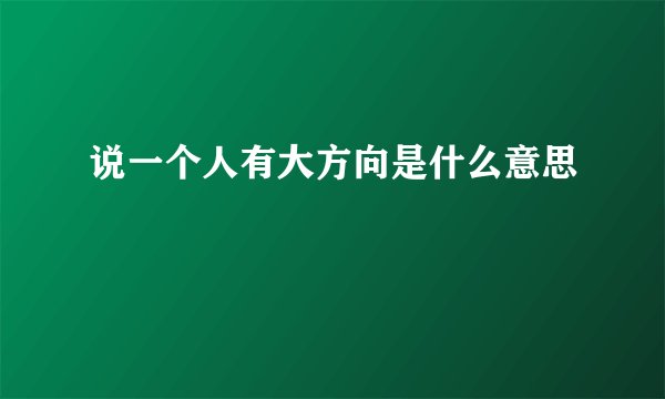 说一个人有大方向是什么意思