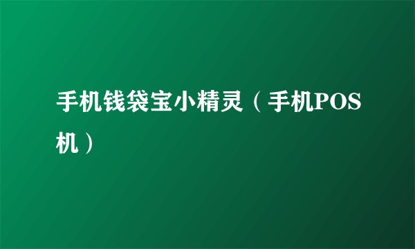 手机钱袋宝小精灵（手机POS机）
