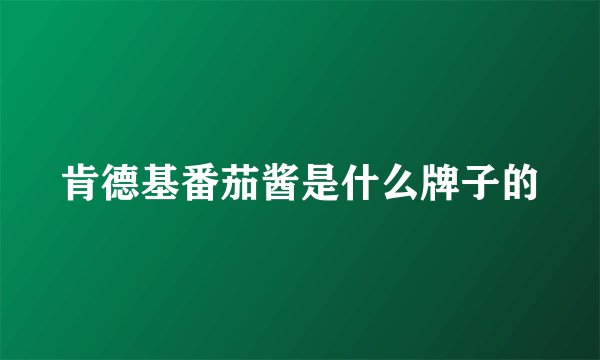 肯德基番茄酱是什么牌子的