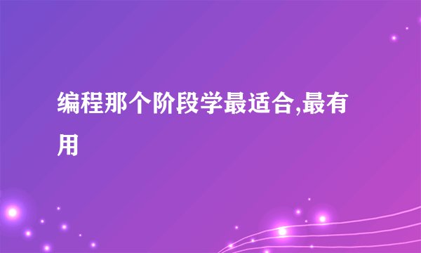 编程那个阶段学最适合,最有用