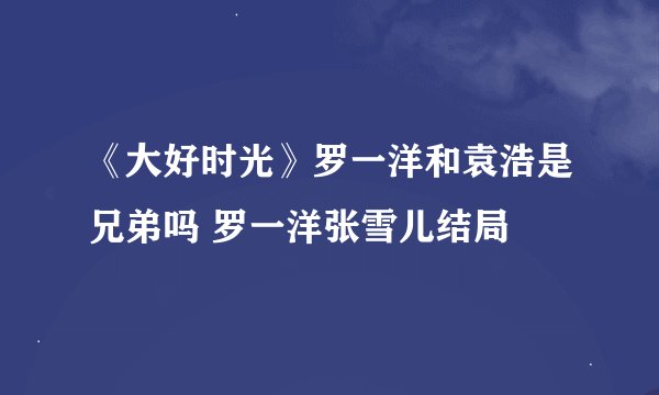 《大好时光》罗一洋和袁浩是兄弟吗 罗一洋张雪儿结局