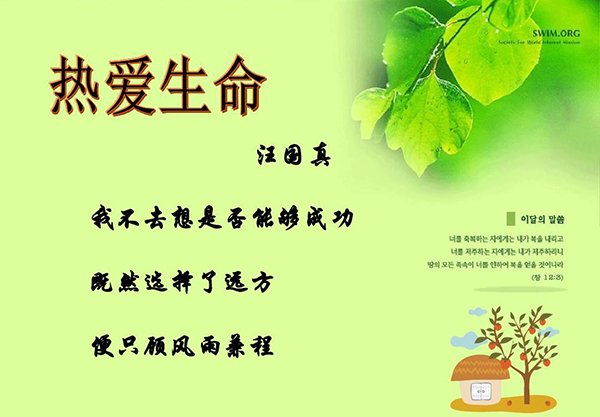 汪国真热爱生命的创作背景