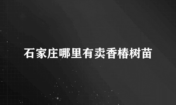 石家庄哪里有卖香椿树苗