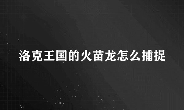 洛克王国的火苗龙怎么捕捉